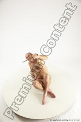 Fighting reference poses of Peter